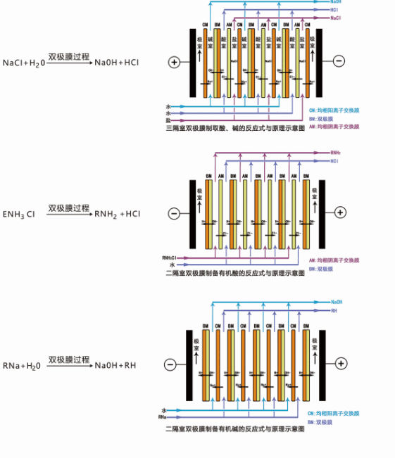 双极膜电渗析.png